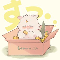 chiikawa fan art
