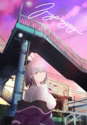 shinjou akane from gridman universe