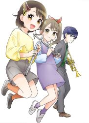 shinken-zemi fan art