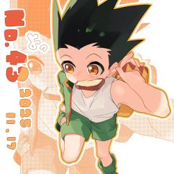 gon freecss from hunter x hunter