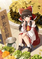 hakurei reimu from touhou