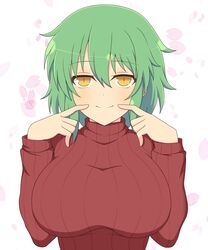 hikage (senran kagura) from senran kagura by ichiryuu tsumiki