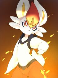 cinderace from pokemon
