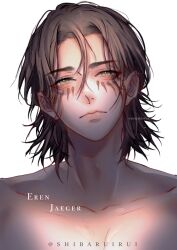 eren yeager from shingeki no kyojin