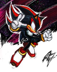 shadow the hedgehog from sonic (series)