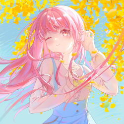 nikki (nikki) from nikki (series)