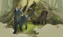 cinderpelt from the prophecies begin