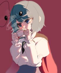 wriggle nightbug from touhou