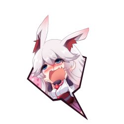 yae sakura from honkai (series)
