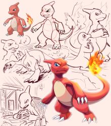 charmander from pokemon