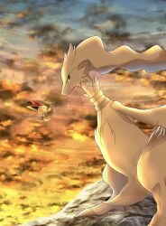reshiram from pokemon by fuyu (utngrtn)