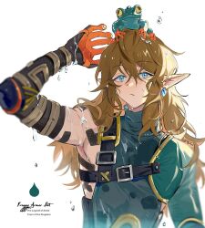 link from the legend of zelda by leopardtiger