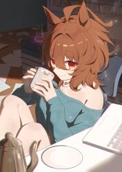 agnes tachyon (umamusume) from umamusume
