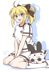 artoria pendragon (fate) from fate (series)