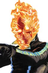 ghost rider from ghost rider (series) by alex ross