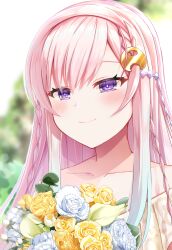 airani iofifteen from hololive