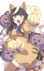 calstone light o (umamusume) from umamusume