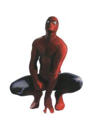 spider-man from marvel by alex ross