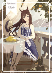 mejiro dober (umamusume) from umamusume by shikahisa totani