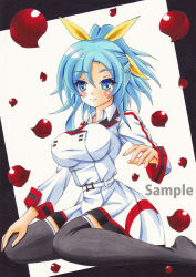 infinite stratos fan art