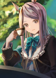 mejiro mcqueen (umamusume) from umamusume