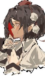 shameimaru aya from touhou by po (anhk5528)