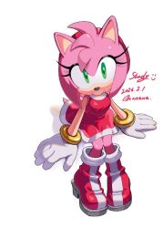 amy rose from sonic (series) by roza (tanukiracoon427)