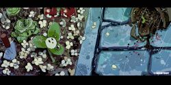 plants vs zombies fan art