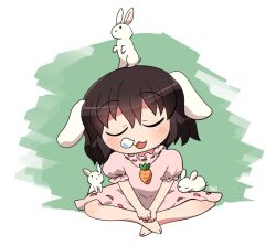 inaba tewi from touhou by rokugou daisuke