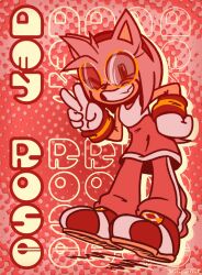 amy rose from sonic (series)