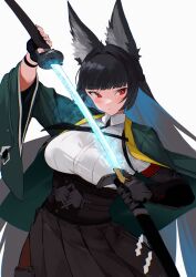 hoshimi miyabi from zenless zone zero