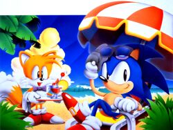 sonic the hedgehog from sonic (series)
