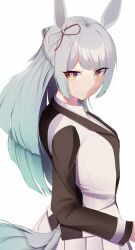 umamusume fan art