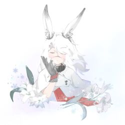 frostnova (arknights) from arknights