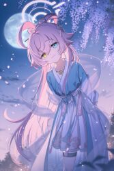 hoshino (blue archive) from blue archive