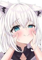shirakami fubuki from hololive