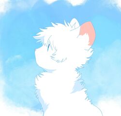 cloudtail from the prophecies begin by neko gokoro