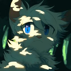 cloudtail from the prophecies begin by neko gokoro