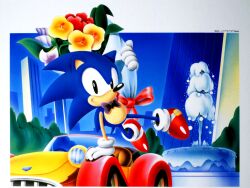 sonic the hedgehog from sonic (series)