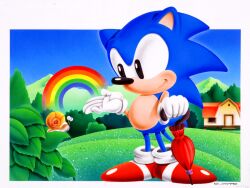 sonic the hedgehog from sonic (series)