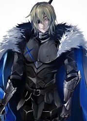 dimitri alexandre blaiddyd from fire emblem