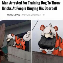 growlithe from pokemon