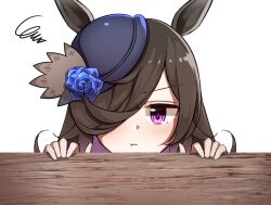 rice shower (umamusume) from umamusume