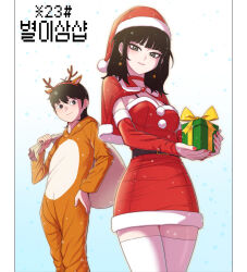 christmas fan art