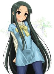 tsuruya from suzumiya haruhi no yuuutsu