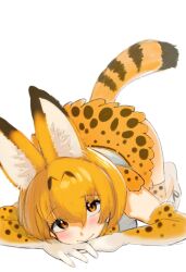 serval (kemono friends) from kemono friends