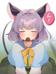nazrin from touhou by ari don
