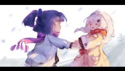 kiana kaslana from honkai (series)