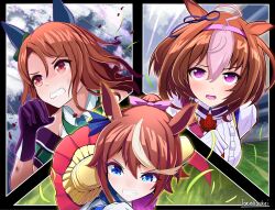 king halo (umamusume) from umamusume by torinosukei