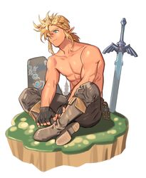 link from the legend of zelda